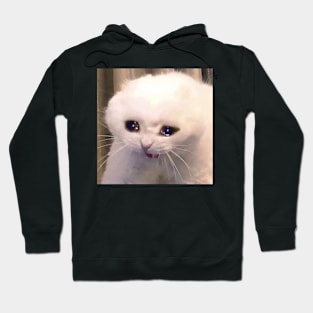 A crying cat Hoodie